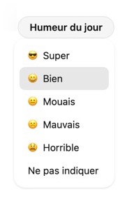 capture d'écran du menu pour entrer l'humeur du jour